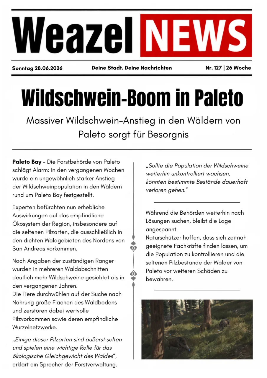 Wildschwein-Boom in Paleto